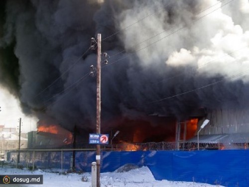 Крупный пожар под Екатеринбургом локализован