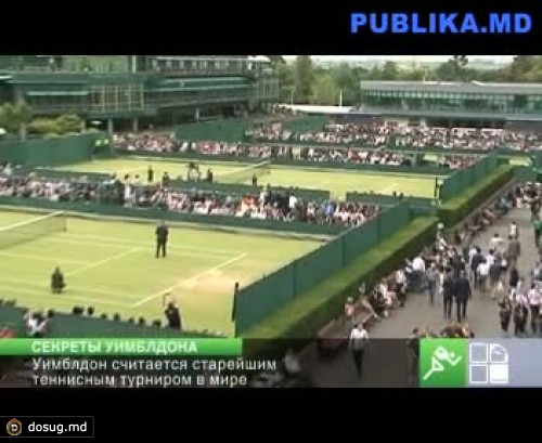 Купленный входной билет на Уимблдон места на трибуне не гарантирует