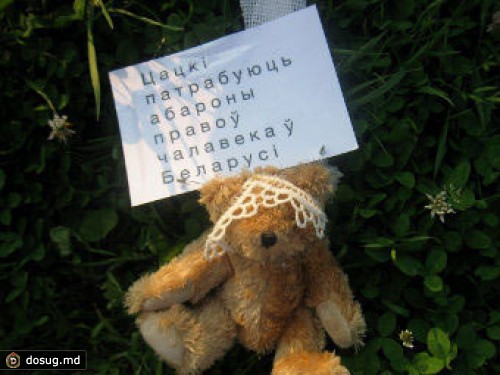 Литва решила передать шведам расследование "плюшевого десанта"