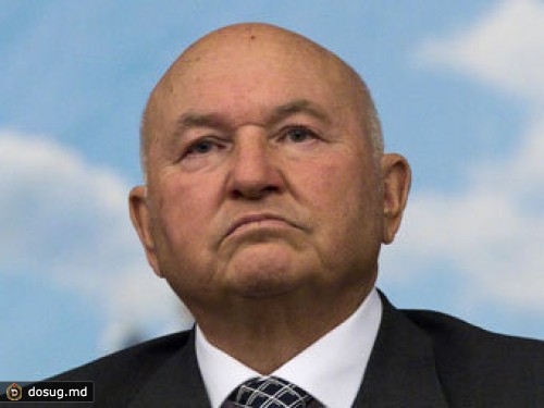 Лужков займется разведением овец