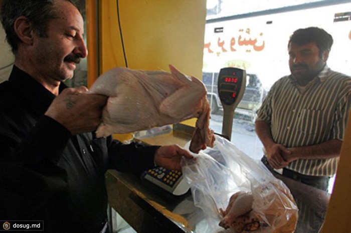 Марокко и Иран увеличат экспорт продуктов в Россию