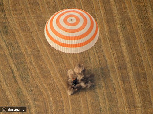 Массовую гибель сайгаков в Казахстане связали с посадкой "Союза"