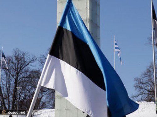 Медлительность следствия спасла осквернителей эстонского флага