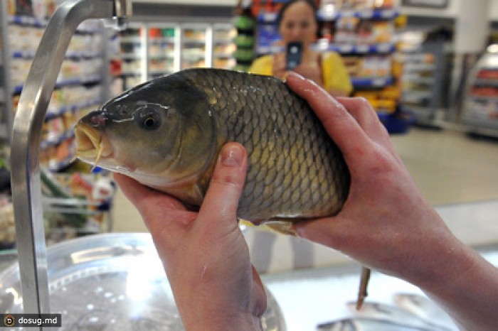 Медведев изменил список запрещенных к ввозу продуктов