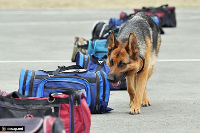 Медведев отказался амнистировать заработанные на наркотиках деньги