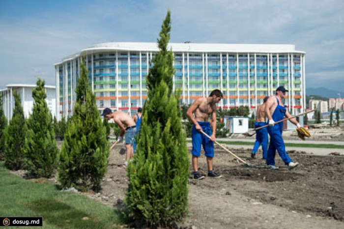 Минприроды решило привлечь внимание Генпрокуратуры к сочинским бабочкам