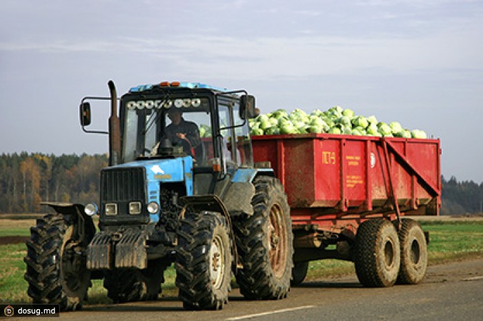Минсельхоз не обнаружил спекуляций у производителей продуктов