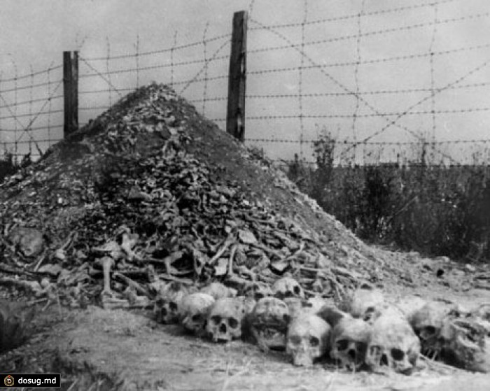 Мировое сообщество отмечает 70-летие со дня освобождения Освенцима