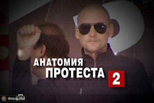 Мосгорсуд признал законным возбуждение дела по фильму «Анатомия протеста-2»