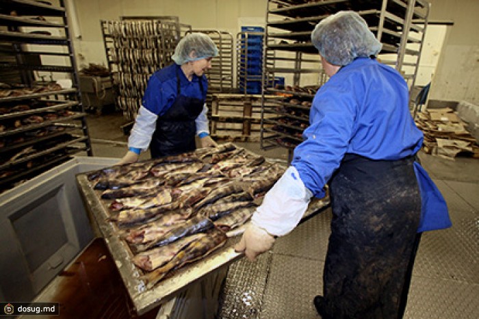 Мурманский рыбокомбинат пригрозил судом правительству России