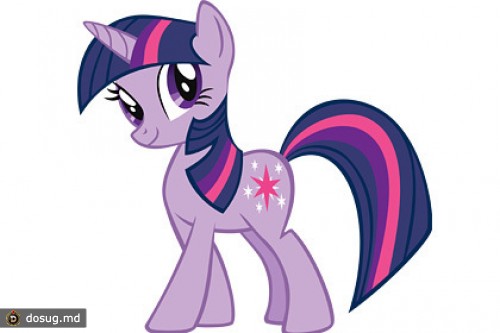 Мужчина вступился за честь своей невесты из мультфильма «My Little Pony»