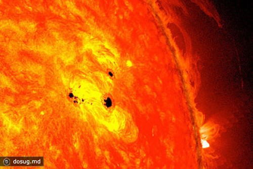 NASA засняло рекордно крупные солнечные пятна