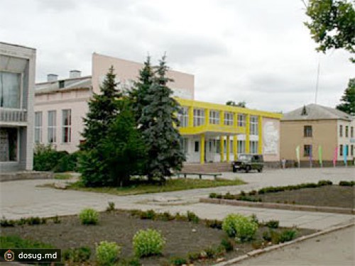 На Украине ветеран войны подстрелил грабителя из нагана