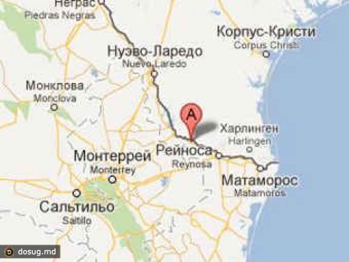 На мексиканском кладбище нашли две тонны марихуаны