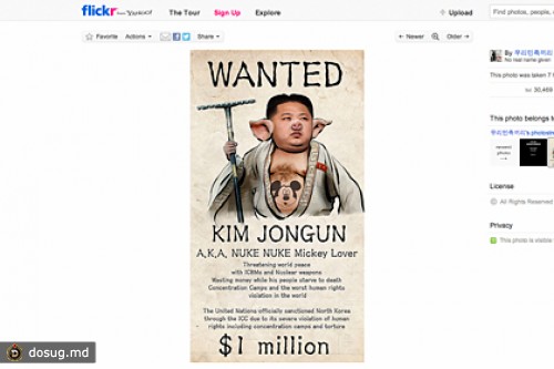 На странице КНДР в Flickr появился Ким Чен Ын со свиными ушами