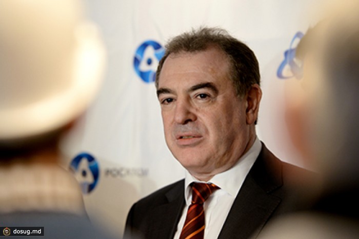 На строительство АЭС под Воронежем потратят 215 миллиардов рублей