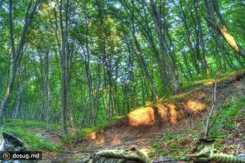 Насмерть сбивший женщину велосипедист явился с повинной