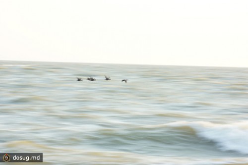 Найдены тела всех погибших в Азовском море украинских рыбаков