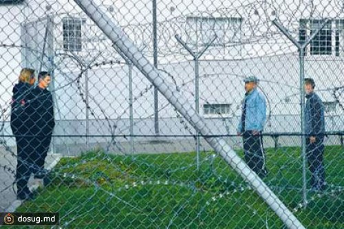 Нелегалы пожаловались на жизнь в эстонском «аду»