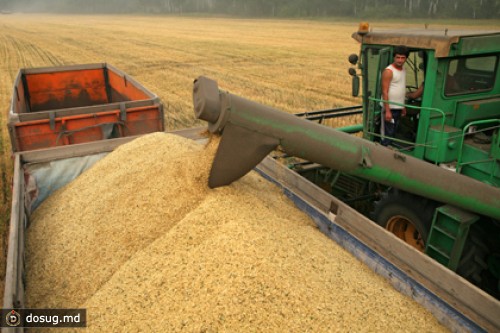 Непогода заставила Минсельхоз снизить прогноз по урожаю