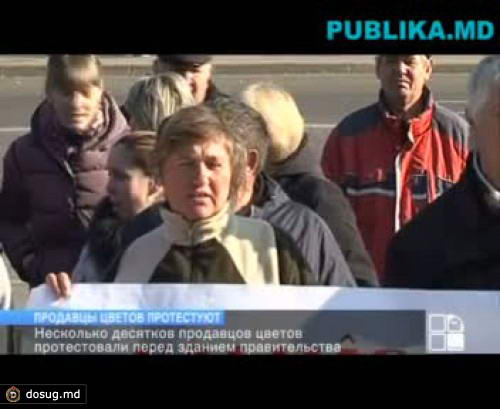 Несколько десятков продавцов цветов протестовали перед зданием правительства