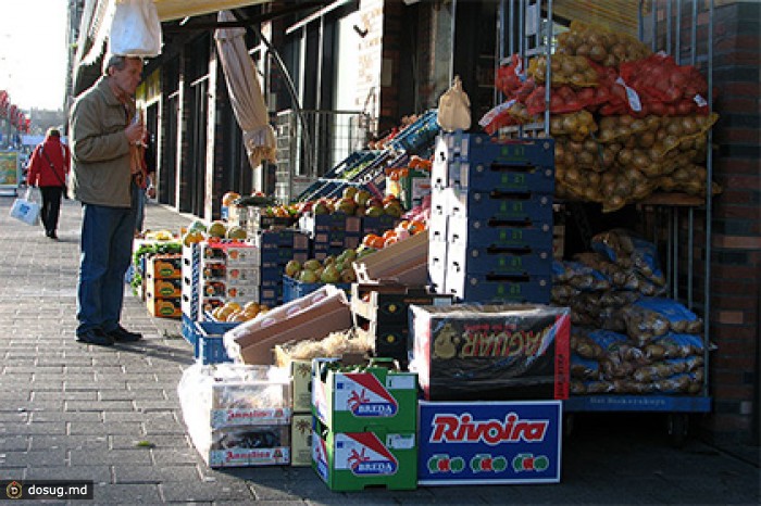 Нидерланды уточнили потери от запрета на поставки в Россию