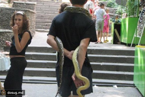 Одесские депутаты запретили фотографироваться со зверями