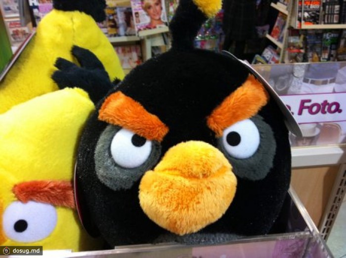 Операция "Angry Birds": в США задержаны организаторы петушиных боев