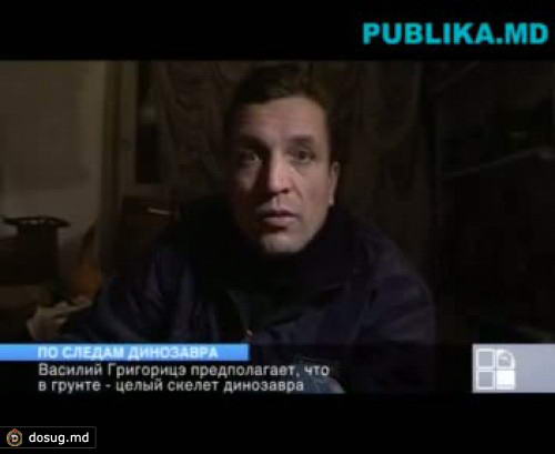 Останки динозавра, найденные вблизи села Колибаш Кагульского района, могут быть утеряны