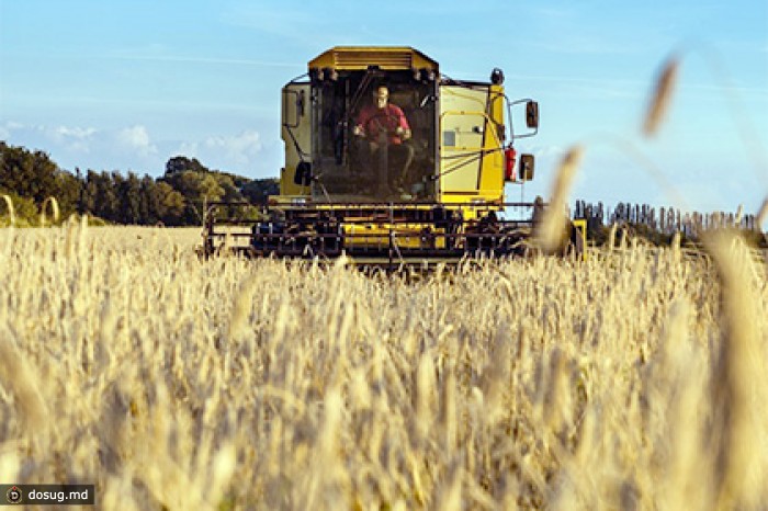 От российского эмбарго пострадали 10 миллионов европейских фермеров