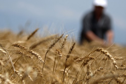 Парламент Грузии запретил продавать земли иностранцам