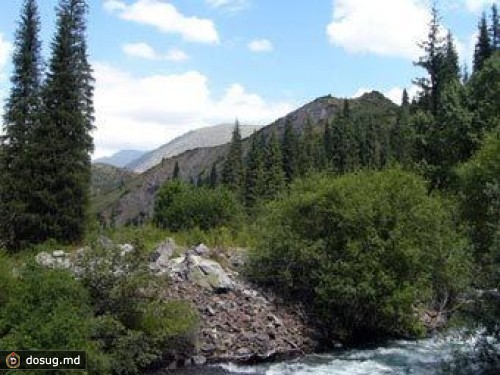 По делу об убийствах в национальном парке Казахстана арестовали егеря