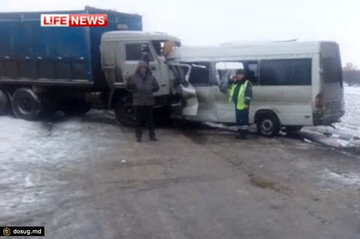 По факту ДТП с украинцами под Белгородом возбуждено дело