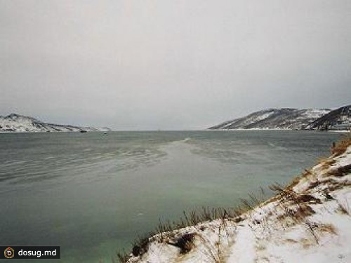 По факту пропажи сухогруза в Охотском море начали проверку