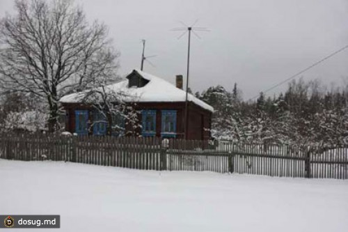 Подмосковного лжескинхеда будут судить за убийство в Вальпургиеву ночь