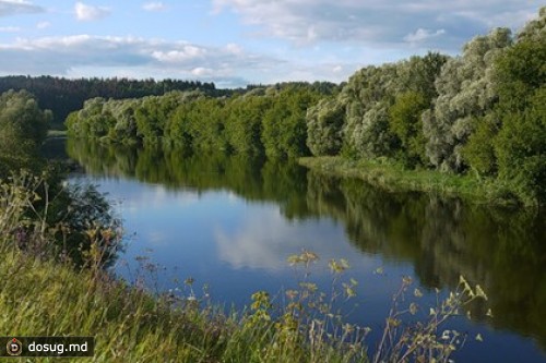 Погибшему при спасении школьниц дагестанцу объявили благодарность