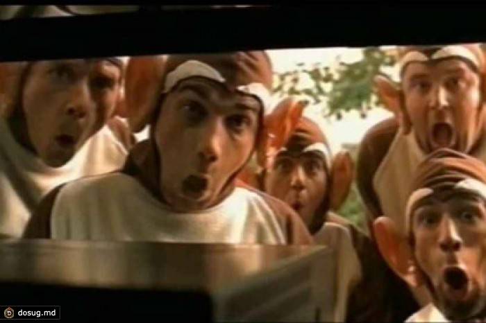 Полиция не нашла криминала в нападении казаков на Bloodhound Gang