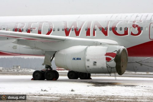 Помощь пассажирам Red Wings оценили в 100 миллионов рублей