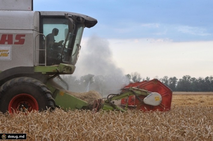 Пошлину на экспорт пшеницы введут с 1 февраля