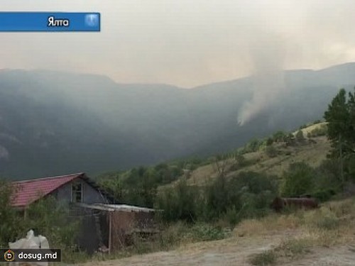 Пожар в ялтинском заповеднике ликвидировали