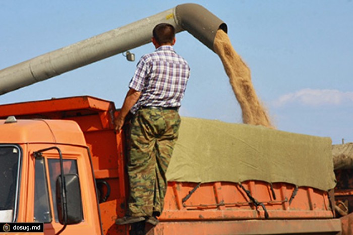 Правительство отменило экспортную пошлину на пшеницу