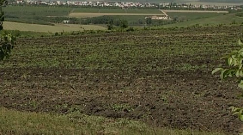 Представители минсельхоза разделяют опасения фермеров об угрозе засухи