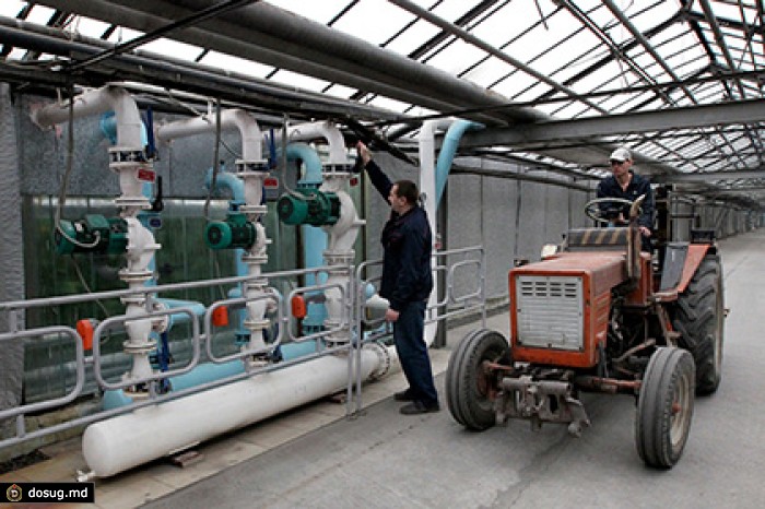 Президент России посетовал на неэффективность госпредприятий