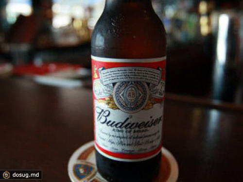 Производитель пива Budweiser стал спонсором ЧМ по футболу в России