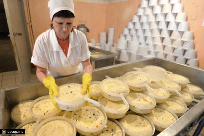 Производство сыра в России выросло на 30 процентов