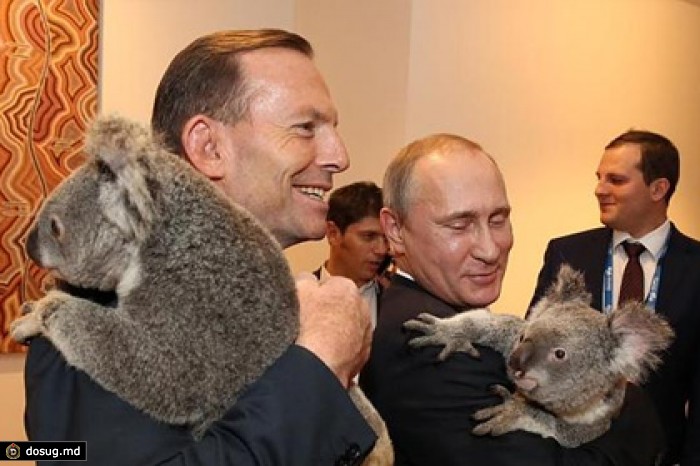 Путин сфотографировался с коалой