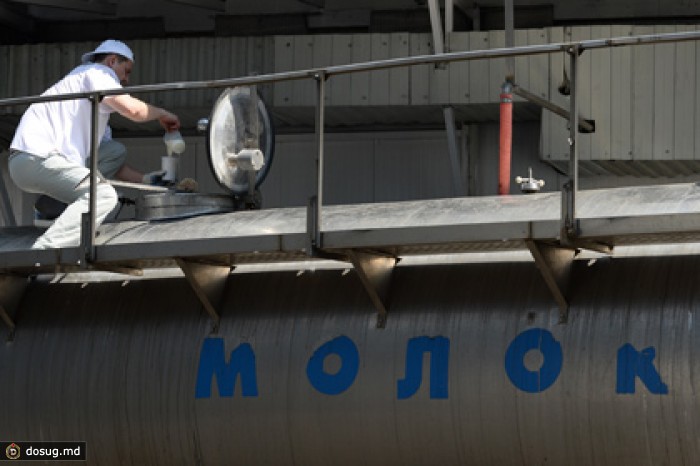 Пятая часть молочных продуктов в России оказалась фальсификатом