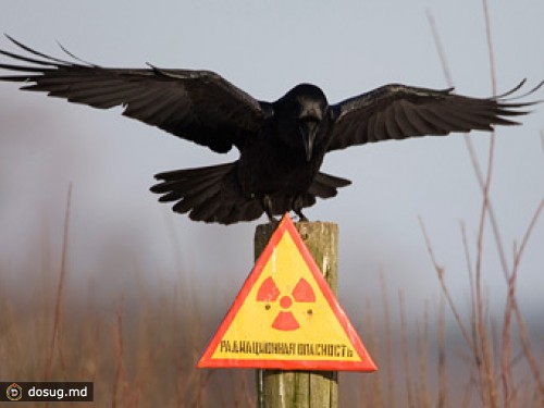 Радиоактивные свалки в Таджикистане признали угрозой для соседних стран