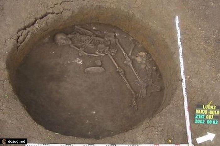 Разводившие коров доисторические европейцы страдали от непереносимости молока