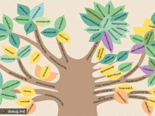 Генеалогическое древо русского языка картинки